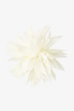 Brosche Mit Blütenblättern